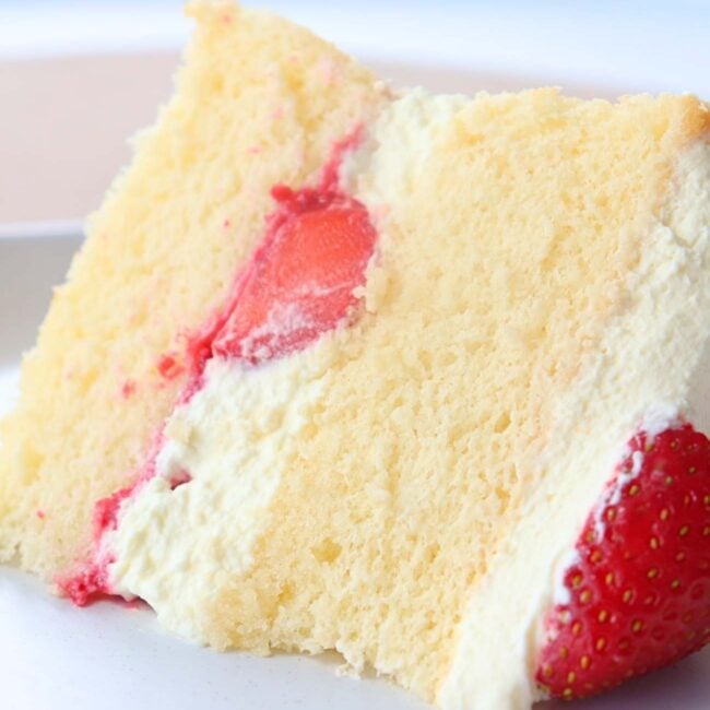 Sponge cake