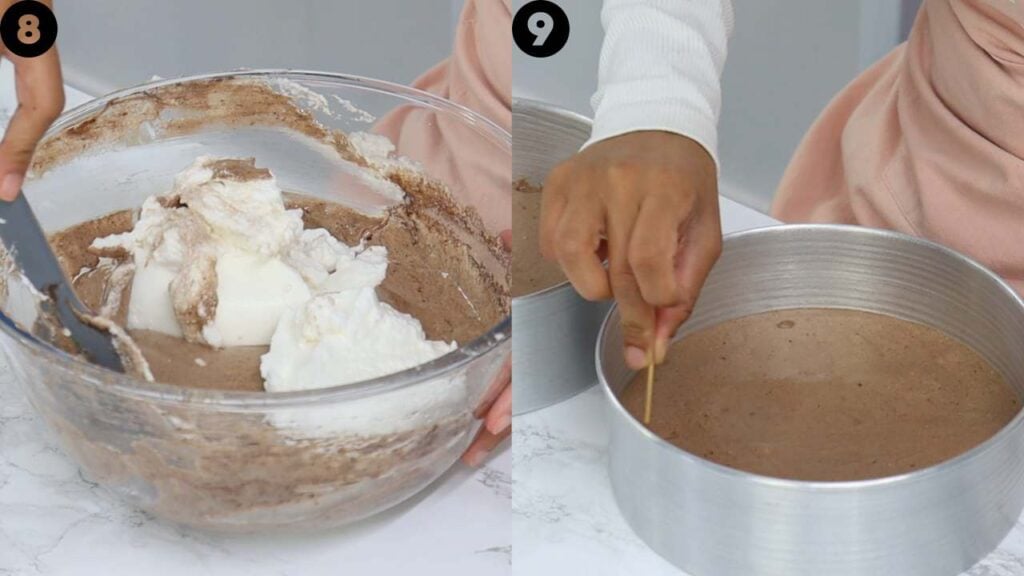 chocolate sponge cake