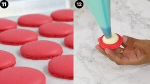 Reuse Macaron Shell Macaron Recipe (Complete Beginner’s Guide) - Cakes by MK