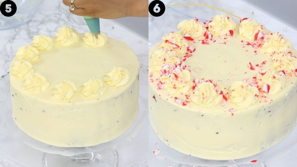 chocolate peppermint cake