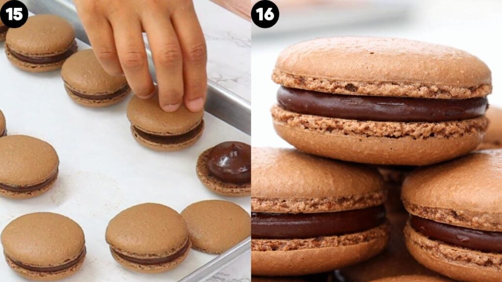 chocolate macarons