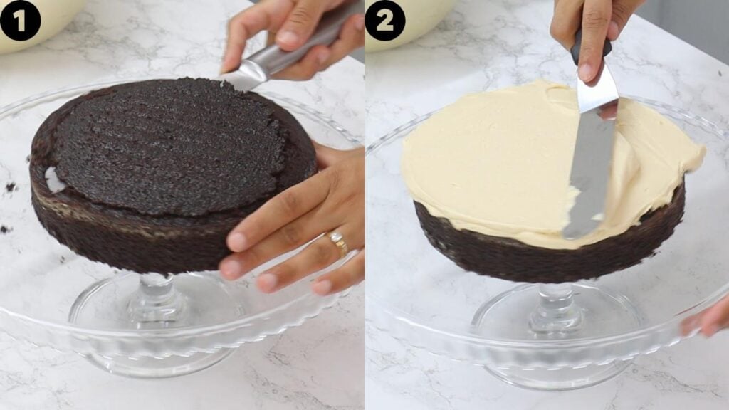 chocolate peanut butter cake