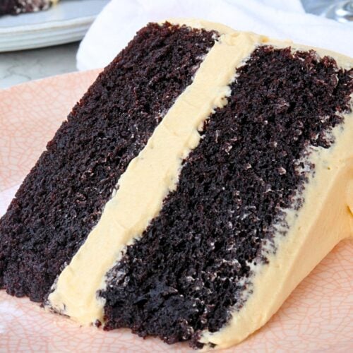 chocolate peanut butter cake