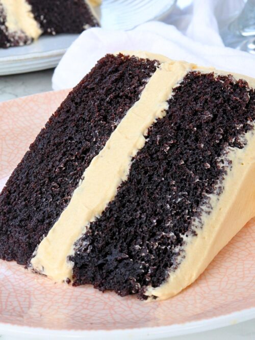 chocolate peanut butter cake