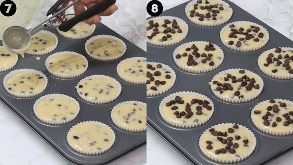 chocolate chip muffins