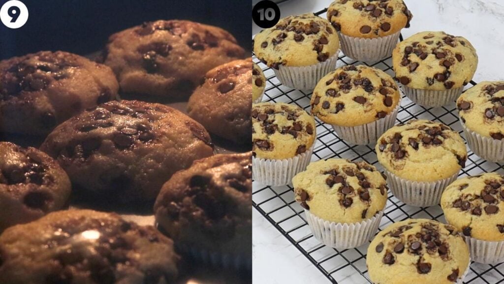 chocolate chip muffins