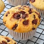 chocolate chip muffins