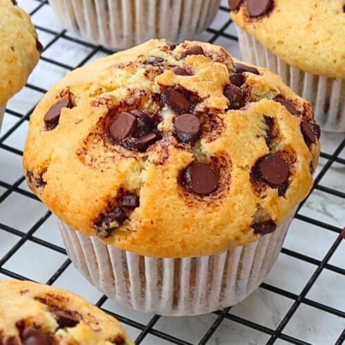 chocolate chip muffins
