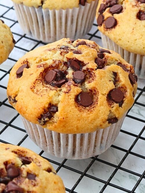 chocolate chip muffins