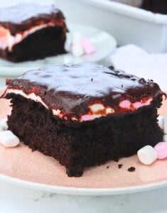 mississippi mud cake