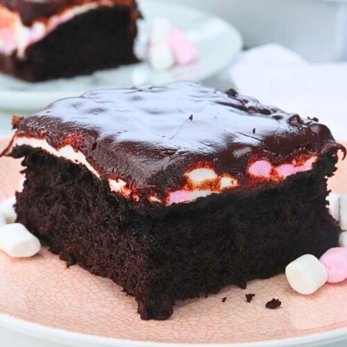 mississippi mud cake