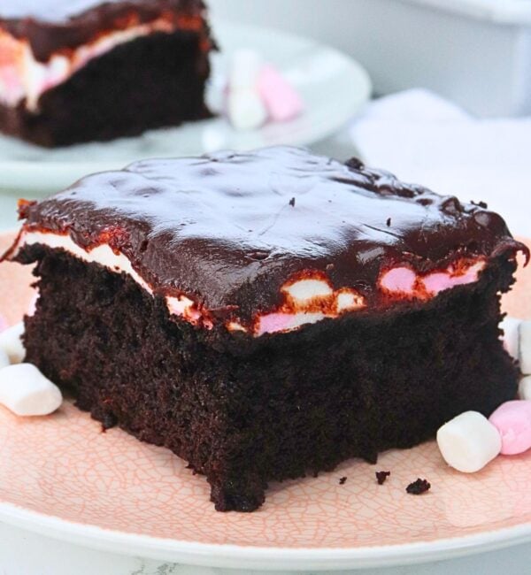 mississippi mud cake