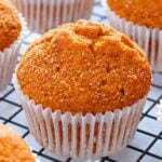 pumpkin muffins