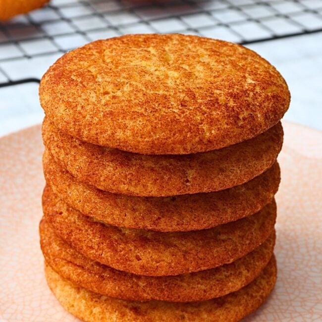 snickerdoodle recipe