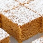 Close-up of a crumbly golden sponge cake topped with powdered sugar.