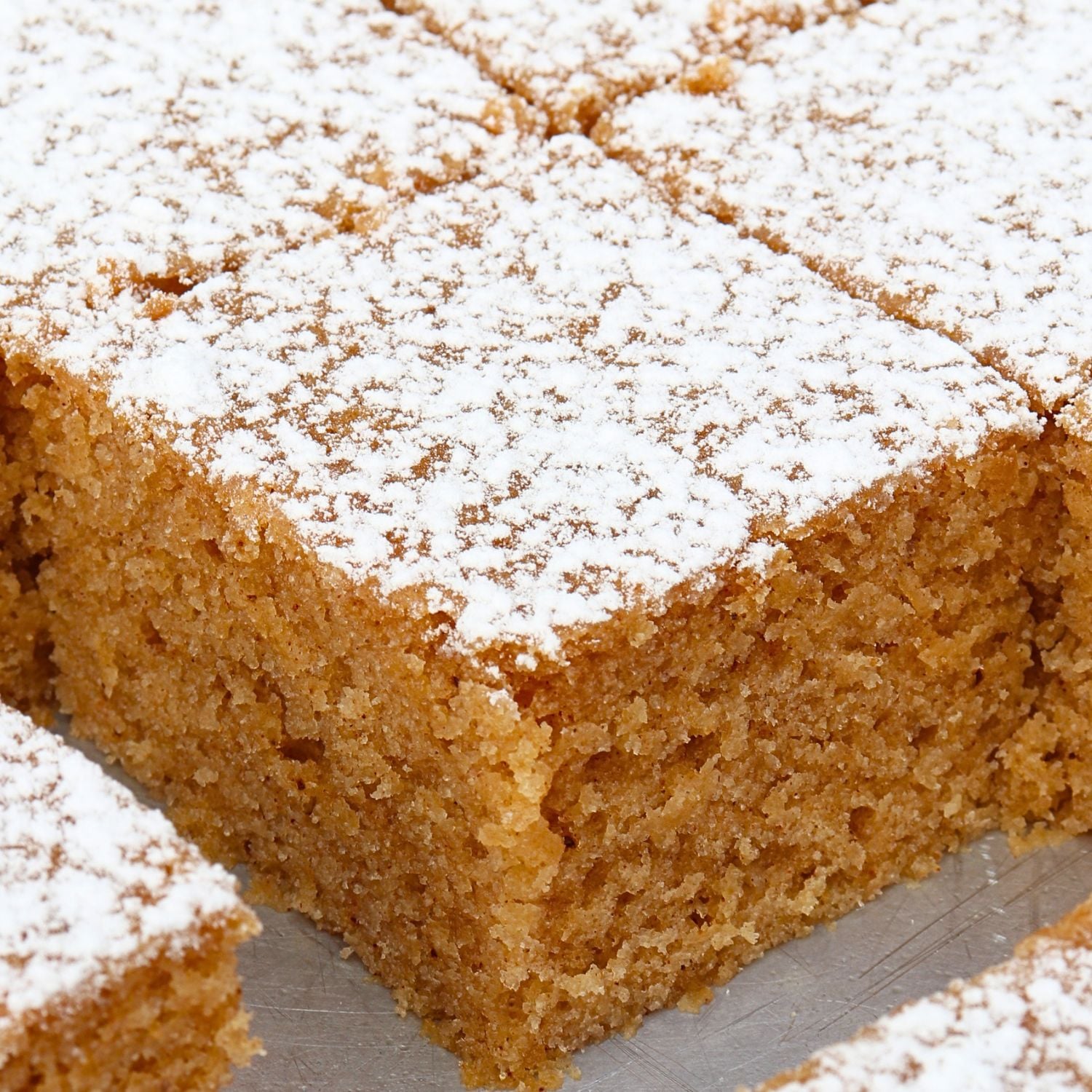 Close-up of a crumbly golden sponge cake topped with powdered sugar.